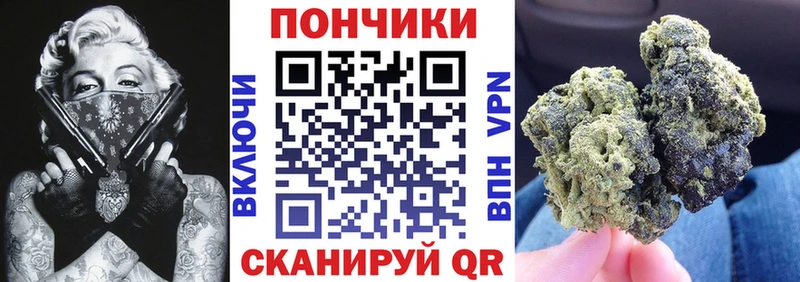 Купить  Сегежа  Бошки Шишки семена 